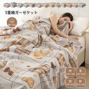 3重ガーゼケット 寝具 布団 ふとん 掛け布団 ケット ブランケット コットン100% 綿 ガーゼ 夏掛け 肌掛け 涼感 吸水 速乾 おしゃれ 通気性 丸洗いOK 軽量 薄め 肌ざわり 肌触り 4サイズ 多柄選べる 送料無料(3)