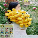 【新色追加 ポイント10倍 10%off 】花束ブランケット ブーケブランケット ベッドスロー マルチカバー ブランケット 手編み花 クラフト 咲く 肌触り デ...