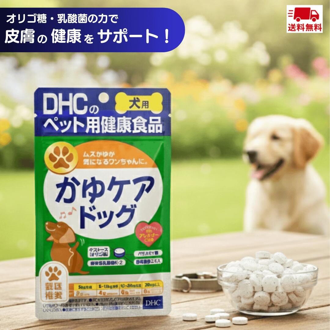 �ںǰ���ĩ�����DHC ���� ���ץ� ���楱���ɥå� 60γ����̣����2027.09