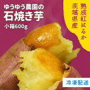 【スーパーセール限定 半額!】新商品! ゆうゆう農園 焼き芋 冷凍 600g 小箱 ギフト ボックス 夏ギフト
