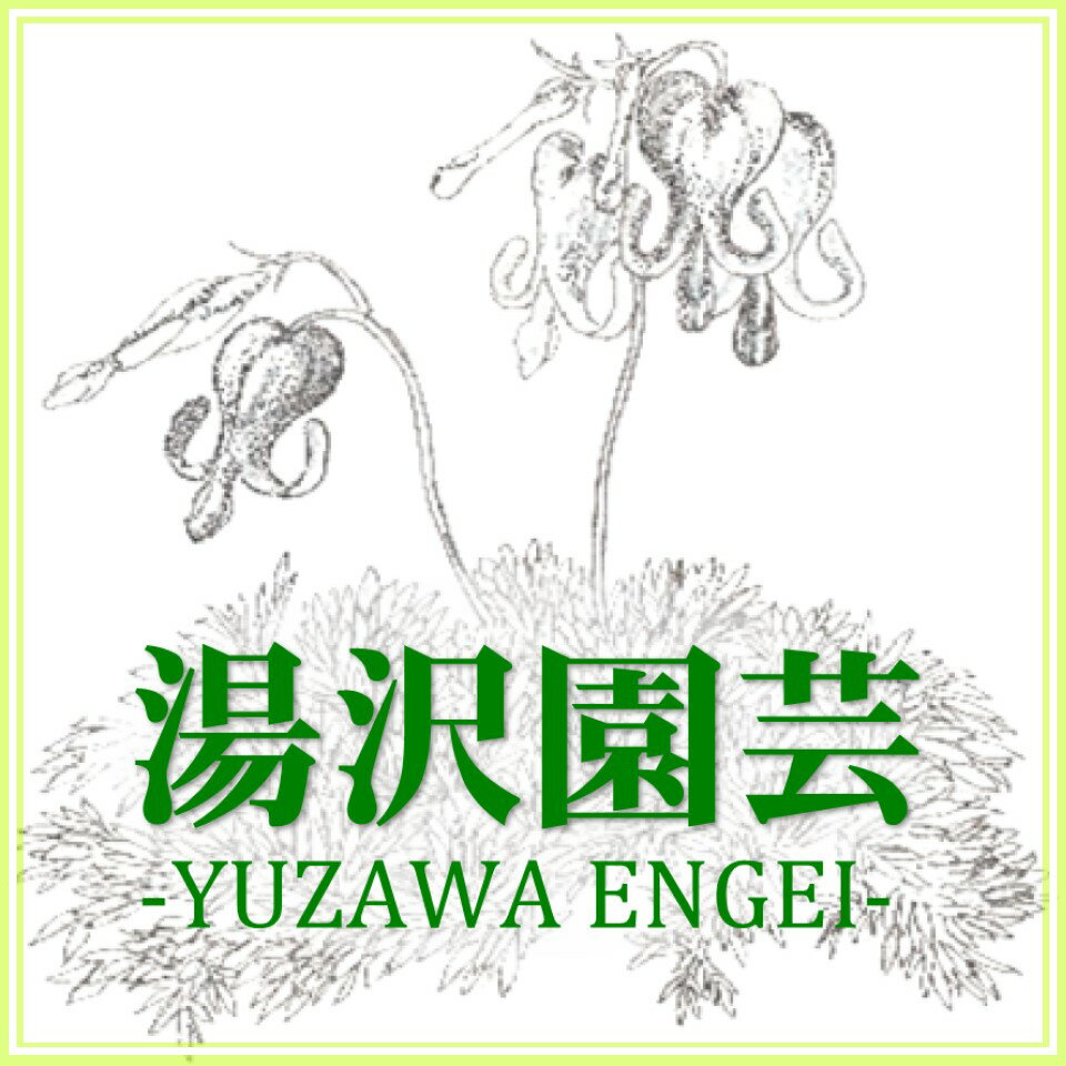 Shop icon