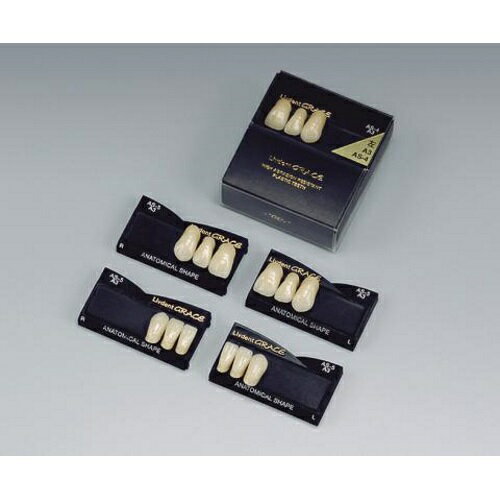 医療機器 リブデント グレース 前歯 右上顎 AS-5L A2 1函=中切歯~犬歯3揃1個(上下左右側別) GC