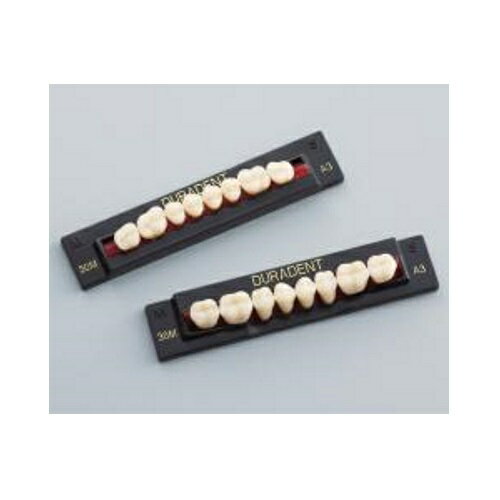 デュラデント 臼歯 上顎 A3 30S 8揃1個 GC