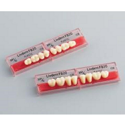 リブデント FB20 プラスチック100 上顎 108 32M 8揃1個 GC