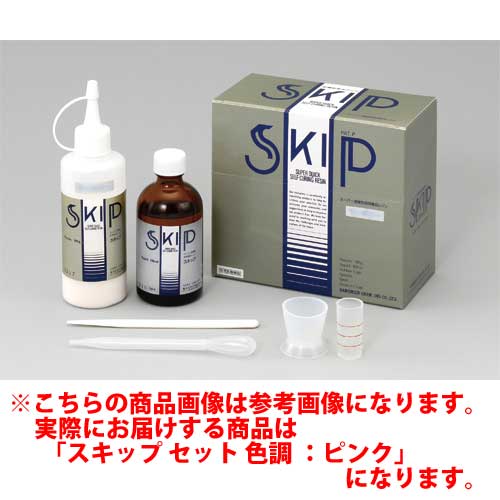 医療機器 義歯床補修用レジン スキ