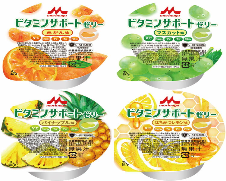ビタミンサポートゼリー　いろいろセット 78g×（4種×6） 653251 森永乳業クリニコ