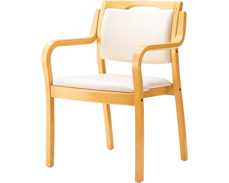 アロエW HN　張地Bランク 東海興商