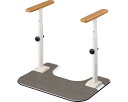 ATTOGRIP(アットグリップ) トイレサポートR N-T 870-111 アロン化成 TAISコード:00221-000719