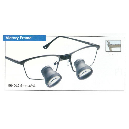 HDL2.5マクロヴィクトリーフレーム(レディメイド) スレート M カボデンタルシステムズジャパン