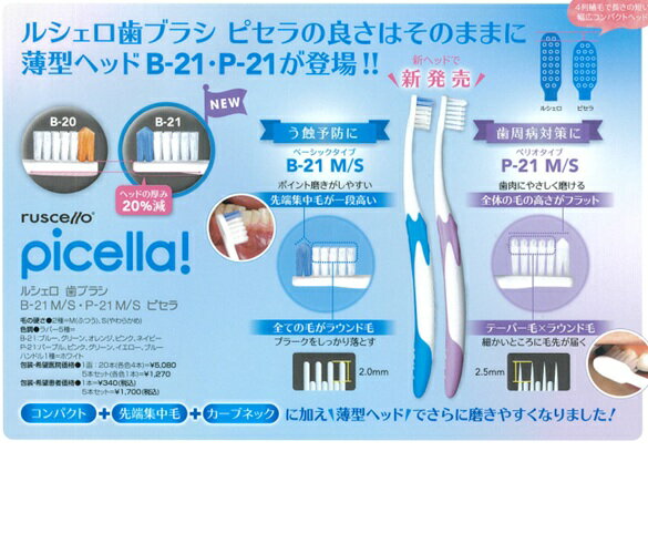 ルシェロ　歯ブラシP-21　ピセラM　1本 パープル、ピンク、グリーン、イエロー、ブルー M 20本 GC　ジーシー