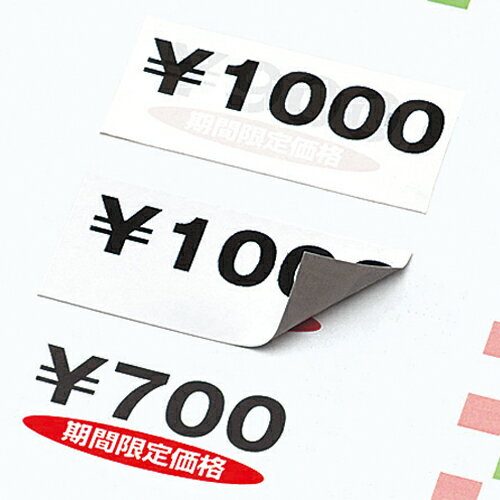 カラーレーザー＆インクジェットプリンタ用ラベル（下地がかくせるタイプ）　A4　24面　1冊（20シート） KPC-SK124-20 コクヨ