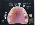 リアルモデルB 1個(4)