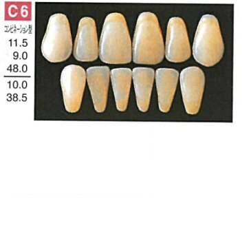 プロテックス前歯 C6 下顎 色調A3.5 6歯入