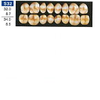 【医療機器】 人工歯 硬質レジン歯 プロテックス臼歯 S32 上顎 色調A3.5 8歯入