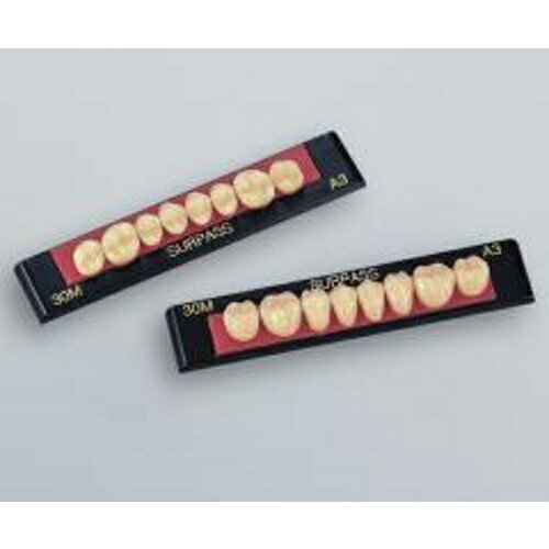 サーパス臼歯 下顎 32S C3 8揃=1個 GC