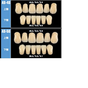 医療機器 リブデント グレース 前歯 右下顎 AS-5S A3.5 1函＝中切歯〜犬歯3揃1個（上下左右側別） GC