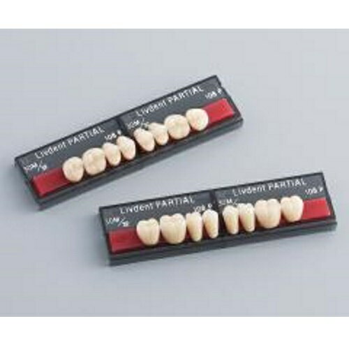 リブデント パーシャル 上顎 30M 112P 8揃=1個 GC