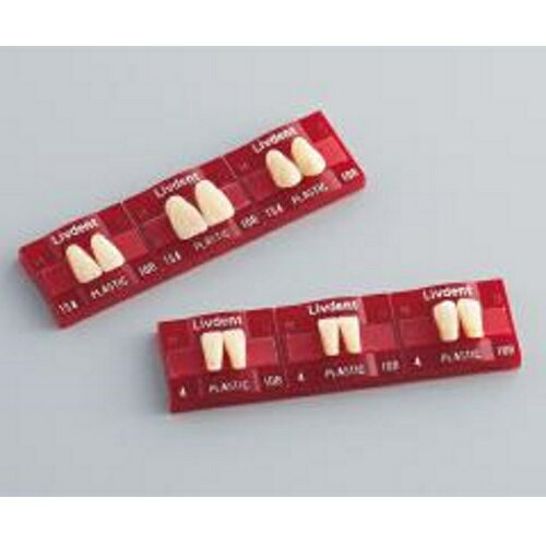 リブデント プラスチック 下顎 14 106 6揃=1個 GC