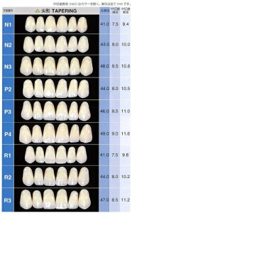 レジン歯 前歯 上顎 N1 R2 6揃=1個 GC