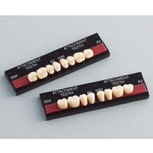 アタッチメントティース 上顎32M A3 8揃1個 GC