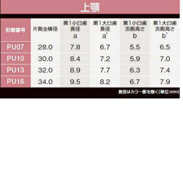 ゼンオパール臼歯　上顎 D2 PU16 8揃1個 GC