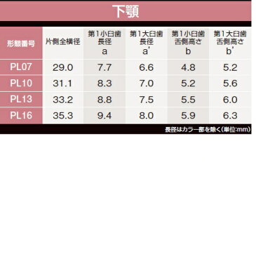 ゼンオパール臼歯　下顎 D4 PL07 8揃1個 GC