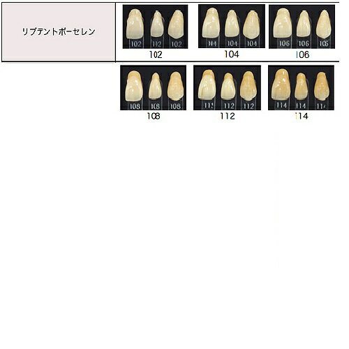 リブデント　ポーセレン 下顎 14 102 6揃=1個 GC