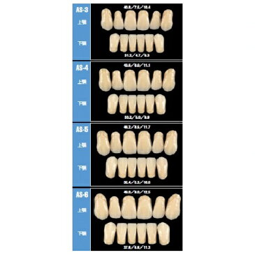 医療機器 リブデント グレース 前歯 左上顎 AS-3 C3 1函＝中切歯〜犬歯3揃1個（上下左右側別） GC