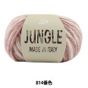 秋冬毛糸 『JUNGLE (ジャングル) 814番色』 Puppy パピー