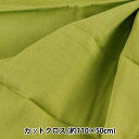 生地 『Wガーゼ カットクロス 約110cm×50cm グラス WG401』