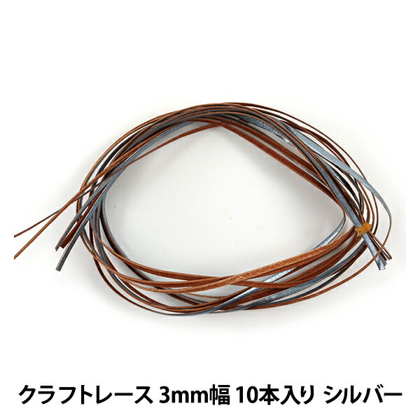 手芸レース 『クラフトレース 3mm幅 5本入り シルバー 3525-17』 LEATHER CRAFT クラフト社