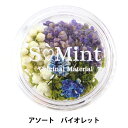レジン材料 『ドライフラワー フルレット シリーズ1 バイオレット』 SMint エスミント
