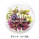 レジン材料 『ドライフラワー フルレット シリーズ1 パープル』 SMint エスミント