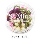 レジン材料 『ドライフラワー フルレット シリーズ1 ピンク』 SMint エスミント