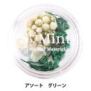 レジン材料 『ドライフラワー フルレット シリーズ1 グリーン』 SMint エスミント