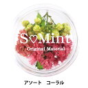 レジン材料 『ドライフラワー フルレット シリーズ1 コーラル』 SMint エスミント