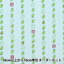 【数量5から】生地 『キャンバス モ