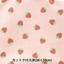 生地 『ちいさな世界のちいさな生地 スムースニット 約38×38cm イチゴ TTN-02』