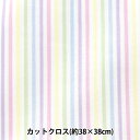 生地 『ちいさな世界のちいさな生地 スムースニット 約38×38cm ストライプ パステル TTN-03』