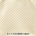 生地 『ちいさな世界のちいさな生地 スムースニット 約38×38cm ギンガムチェック ラテ TTN-08』