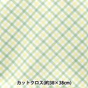 生地 『ちいさな世界のちいさな生地 スムースニット 約38×38cm ギンガムチェック イエローグリーン TTN-10』