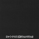 生地 『ちいさな世界のちいさな生地 スムースニット 約38×38cm ブラック TTNM-10』
