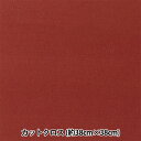 生地 『ちいさな世界のちいさな生地 スムースニット 約38×38cm ボルドー TTNM-11』