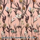 【数量5から】 生地 『LIBERTY リバティプリント タナローン ケイコ・スプリング 3633138-SD23B』 Liberty Japan リバティジャパン