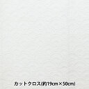 生地 『綿 和柄レース 青海波 カットクロス 約19×50cmパック 純白 P23717-1』