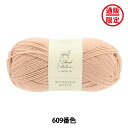 秋冬毛糸 『WONDER WOOL 609番色 パウダー』 NOVITA ノヴィタ ノビータ
