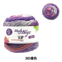 秋冬毛糸 『SCAP(スキャップ) 383番色』 Woolly Hugs ウーリーハグズ