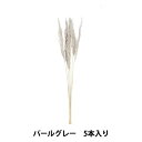 ドライフラワー 『プルームリード パールグレー』(4)