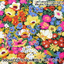 【数量5から】 生地 『リバティ・ファブリックス 11号帆布 ロード・ソープ 3635191-J25A』 Liberty Japan リバティジャパン