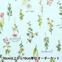 【数量5から】 生地 『シーチング オルチャンガーリー フラワー AP25910-2D』